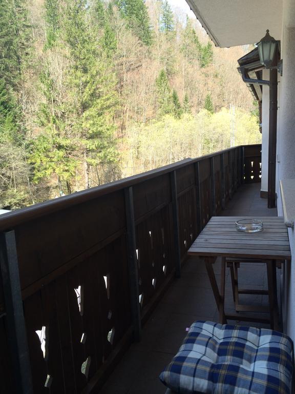 Apartments Pod Macesnovo Streho Солчава Номер фото