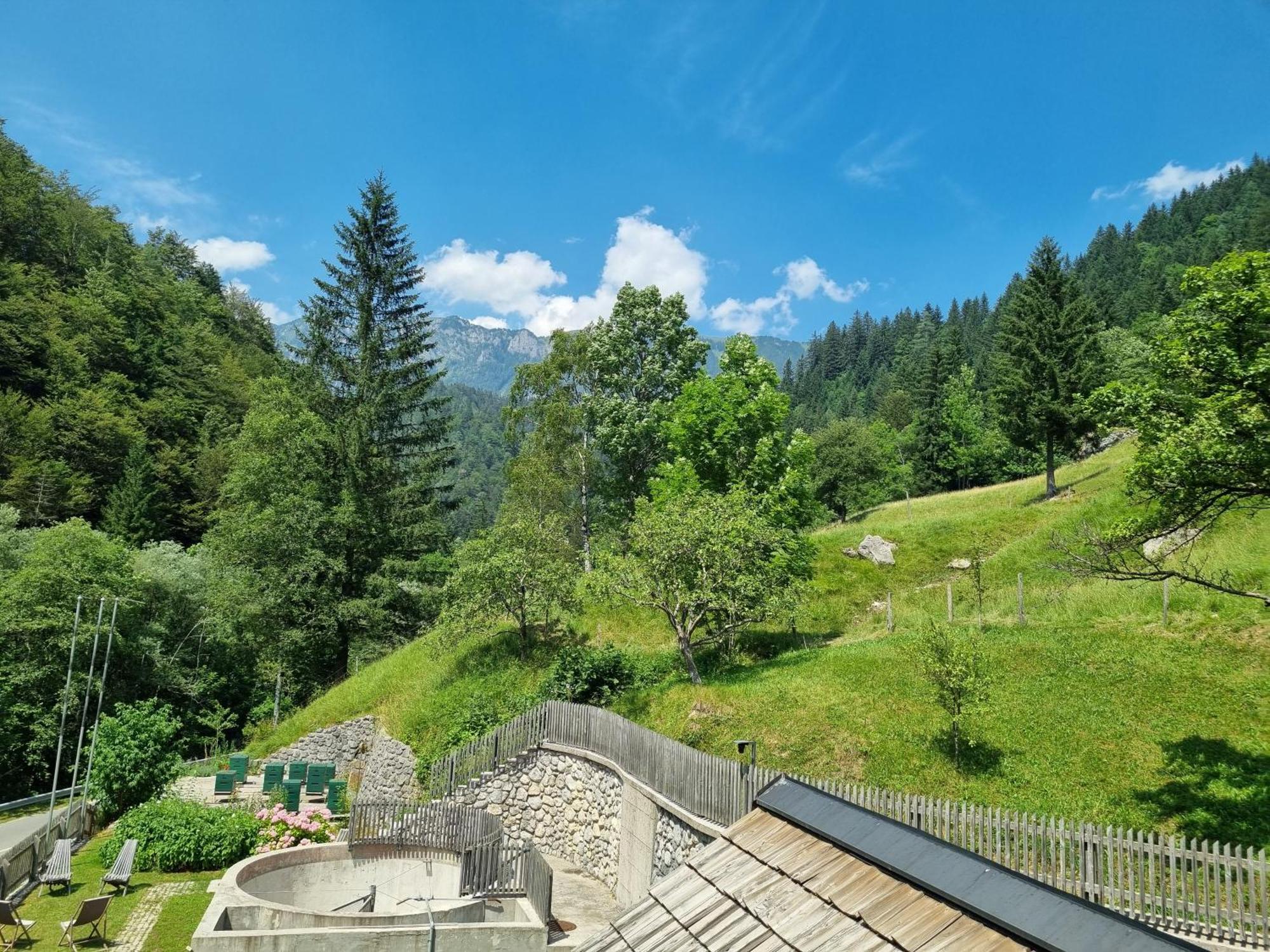 Apartments Pod Macesnovo Streho Солчава Экстерьер фото